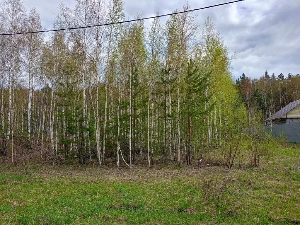 Участок в Свердловская область, Заречный городской округ, с. Мезенское ... - Фото 0