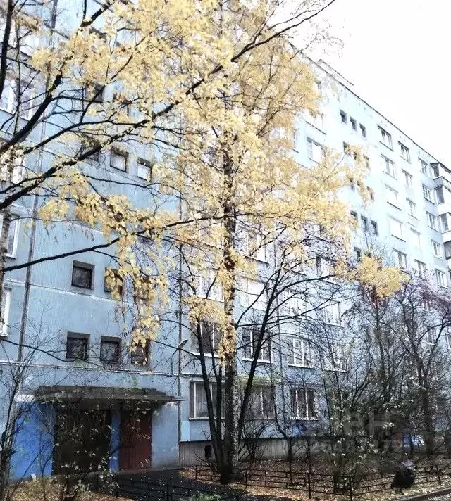 1-к кв. Санкт-Петербург Искровский просп., 26В (29.0 м) - Фото 1