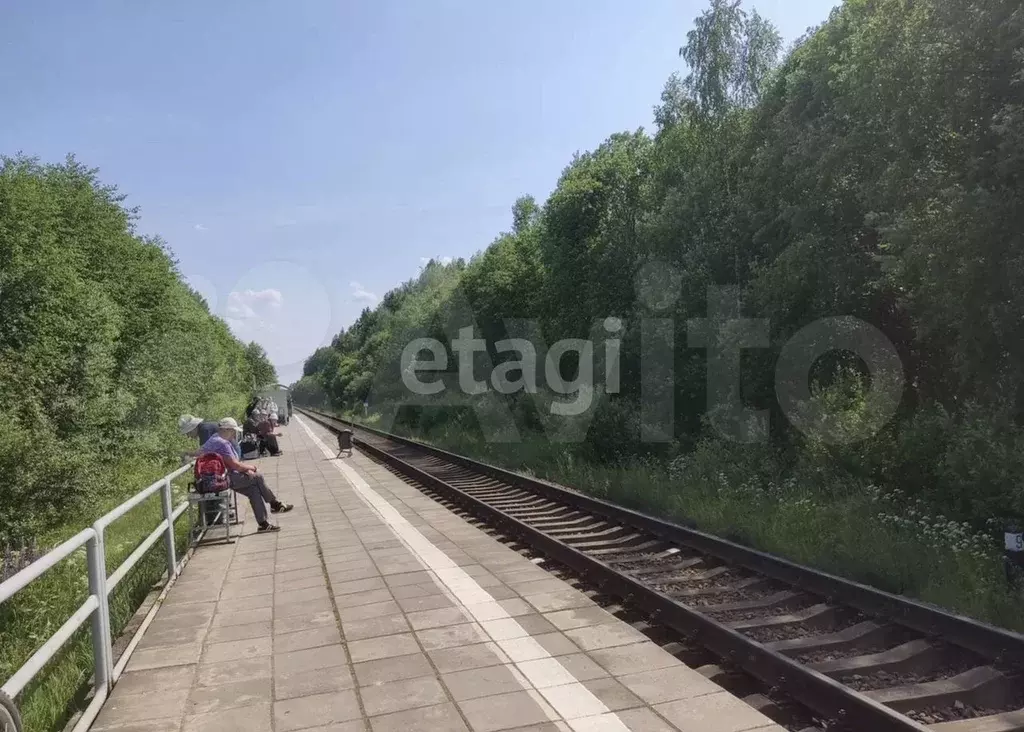 Участок 12 сот. (СНТ, ДНП) - Фото 0