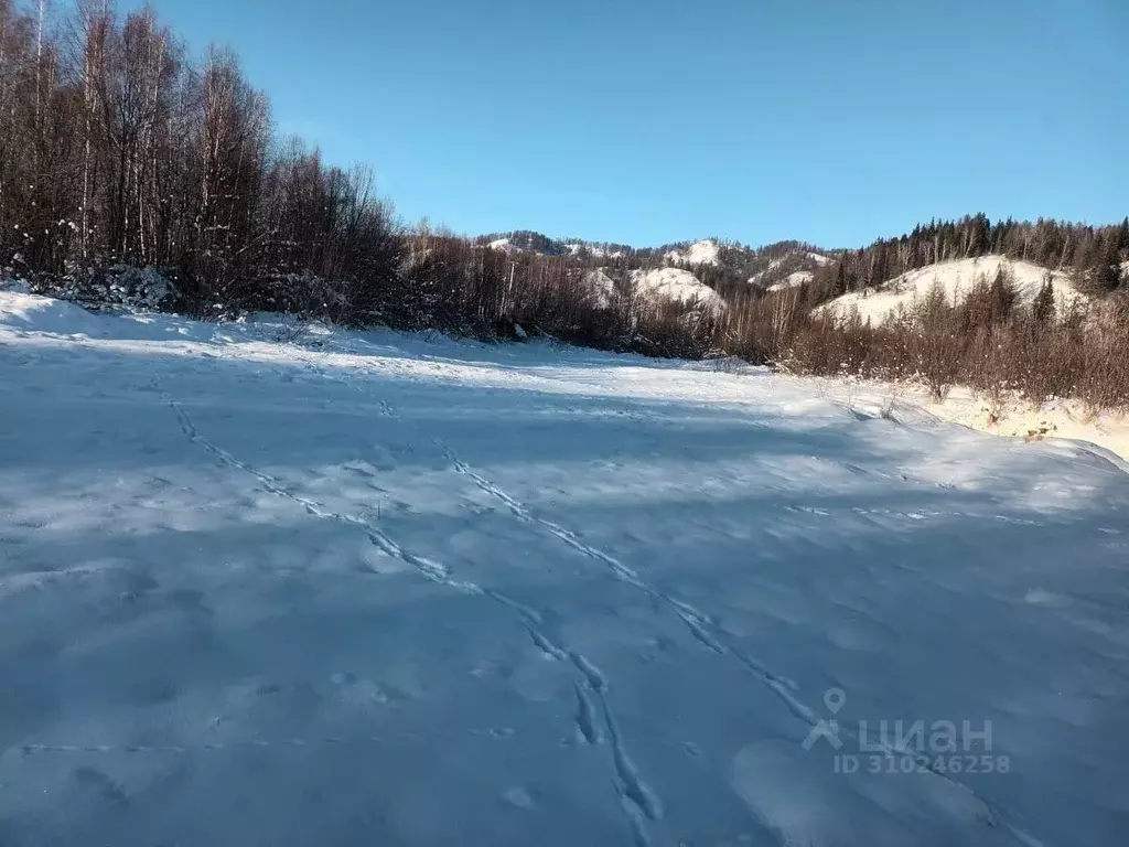 Участок в Алтай, Усть-Коксинский район, Усть-Коксинское с/пос  (2.5 ... - Фото 0