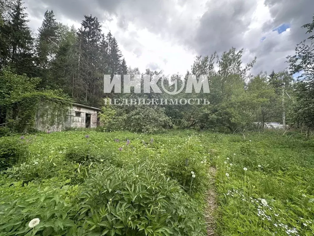 Участок в Московская область, Одинцовский городской округ, Вязы СНТ 88 ... - Фото 2