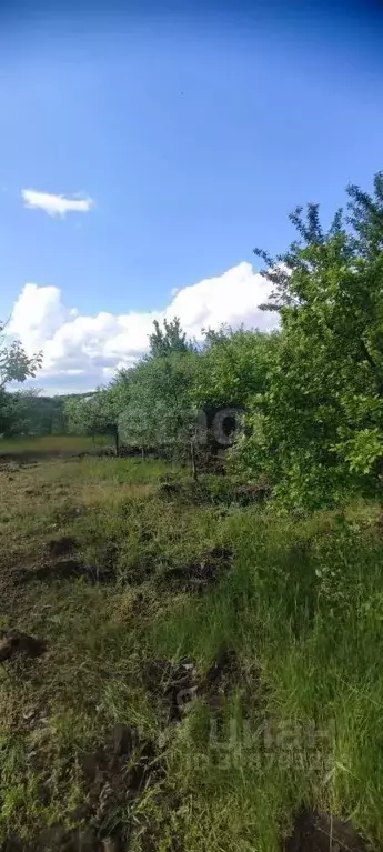 Участок в Саратовская область, Воскресенский район, Елшанское ... - Фото 1