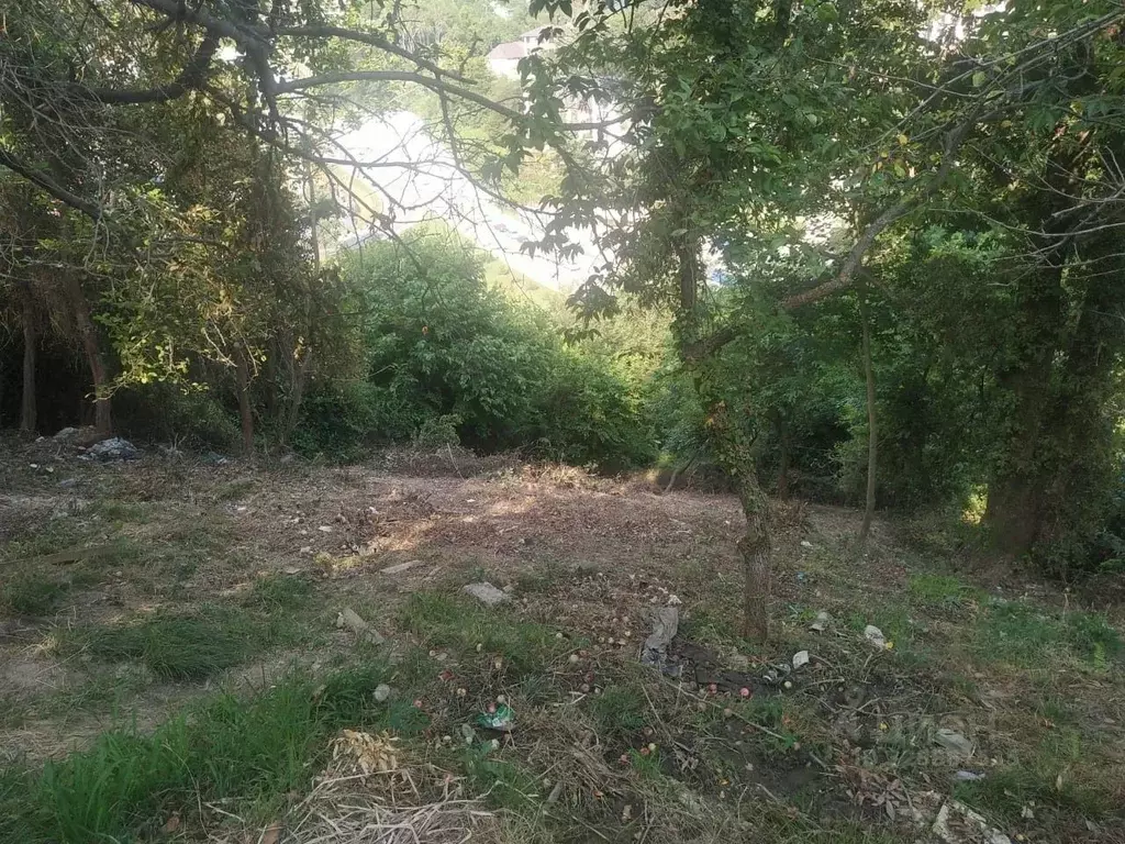 Участок в Краснодарский край, Сочи Светлана мкр, ул. Дмитриевой (9.4 ... - Фото 1