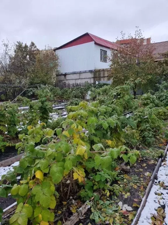 Участок в Самарская область, Новокуйбышевск ул. Суворова (8.0 сот.) - Фото 0