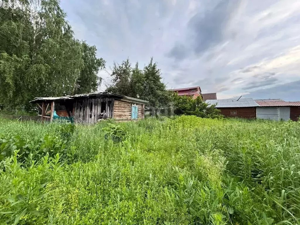 Участок в село Майма, улица Механизаторов (10.8 м) - Фото 0