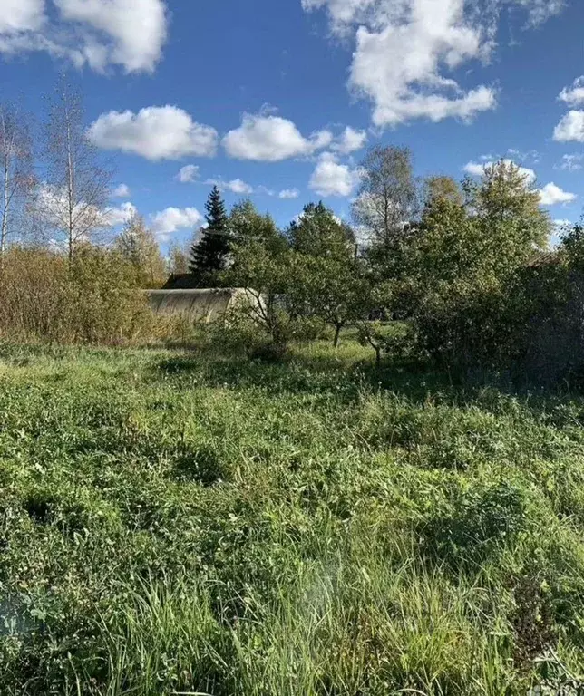 Участок в Новгородская область, Новгородский район, Панковское ... - Фото 2
