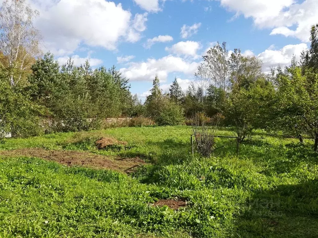 Снт продлили. Старые горки Новгородская область. Турская горка Новгородская область.