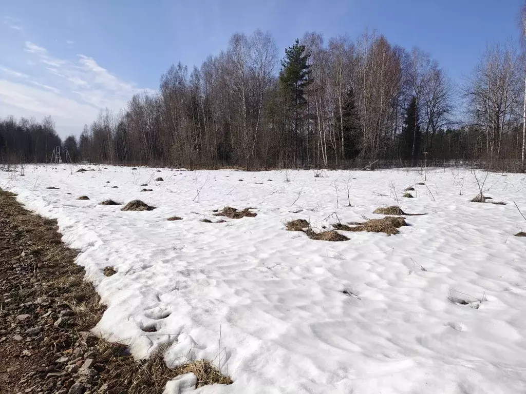 Участок в Московская область, Талдомский городской округ, д. Растовцы  ... - Фото 1