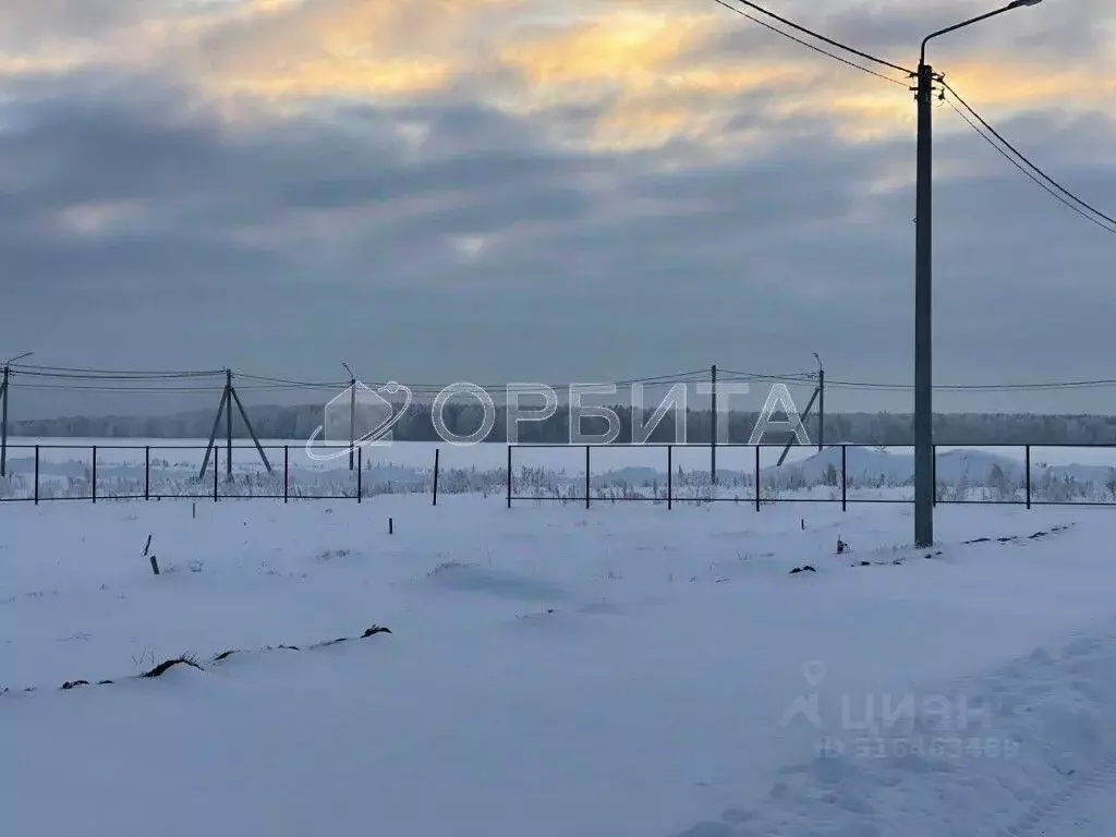 Участок в Тюменская область, Тюменский район, с. Каменка  (12.0 сот.) - Фото 1