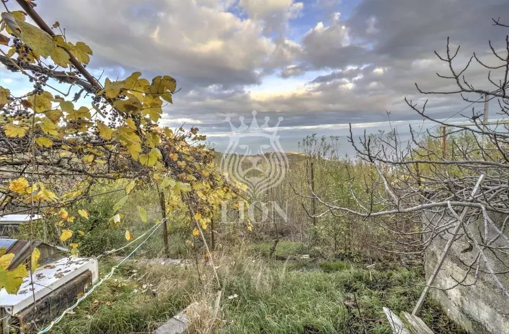 Участок в Крым, Алушта муниципальный округ, с. Малый Маяк ул. ... - Фото 2