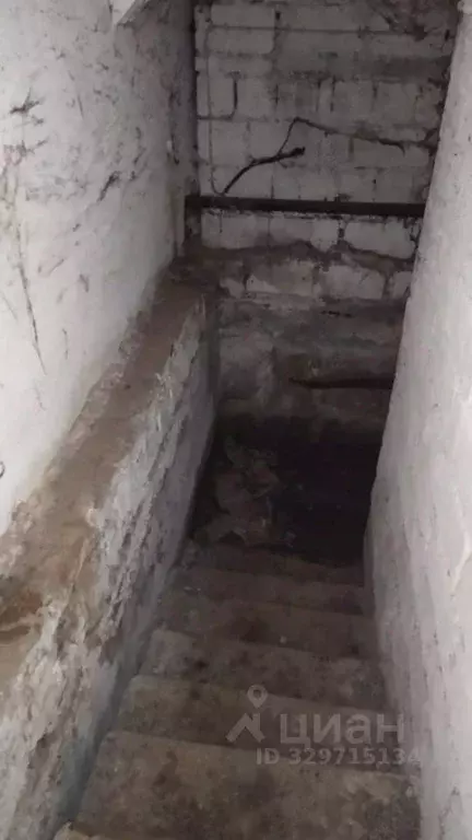 Помещение свободного назначения в Челябинская область, Златоуст просп. ... - Фото 1