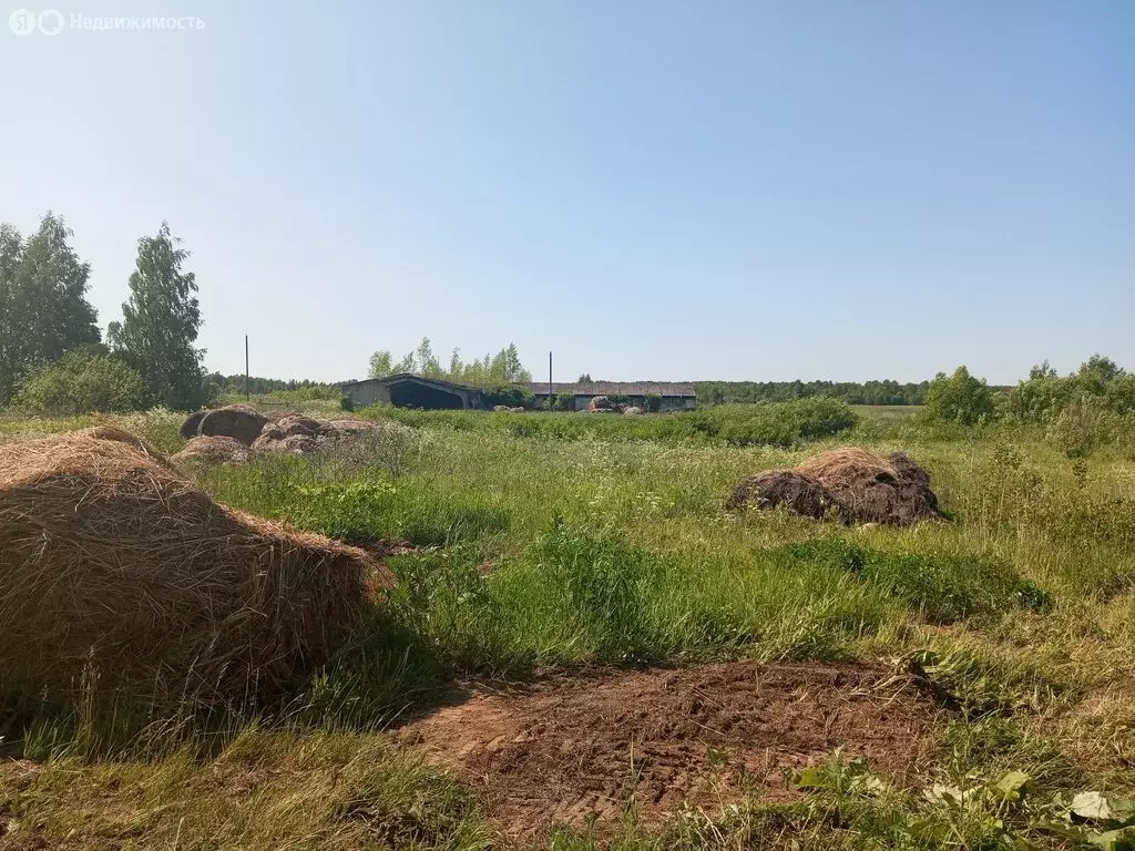 Участок в Тверская область, Зубцовский муниципальный округ, деревня ... - Фото 1