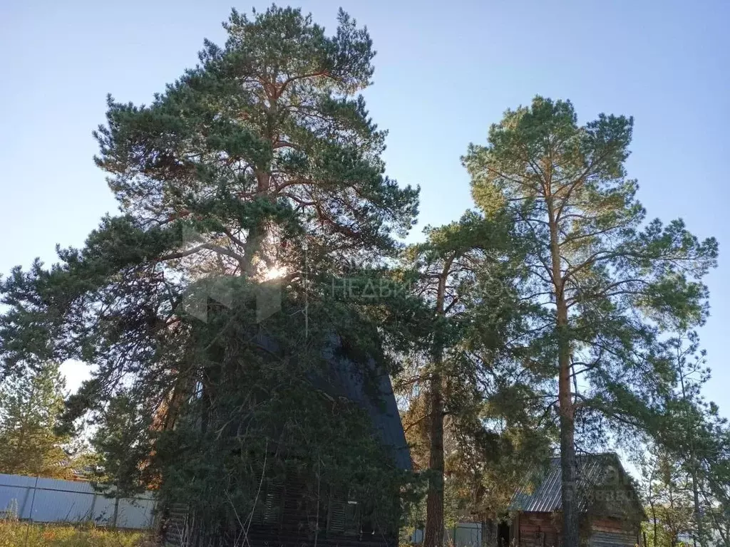 Дом в Тюменская область, Тюменский район, Искра-2 СНТ ул. Грибная (60 ... - Фото 0