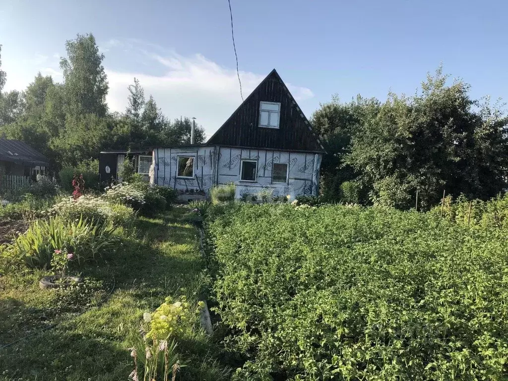 Поселок вишенки смоленск. Сотки Смоленск. Купить дачу п. Вишенки Смоленск.