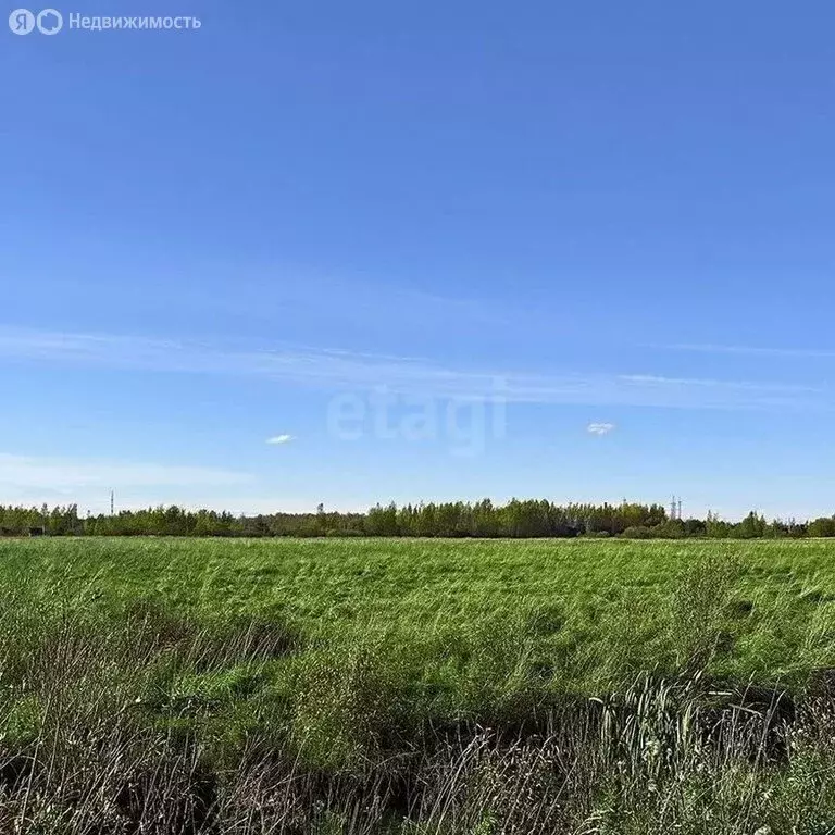 Участок в Ярославская область, Рыбинский муниципальный округ, деревня ... - Фото 1