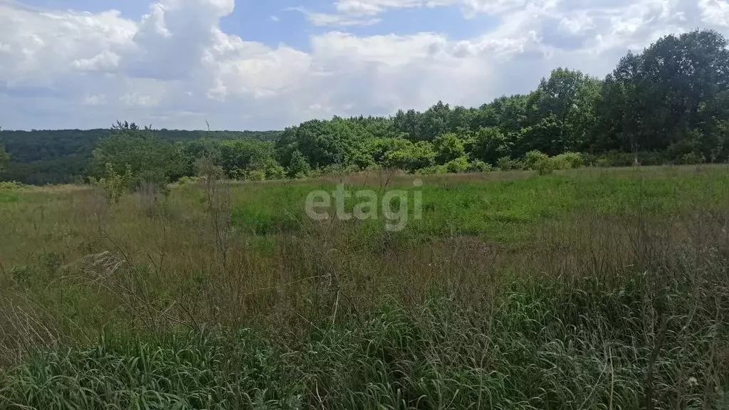 Участок в Белгородская область, Белгородский район, Беломестненское ... - Фото 2