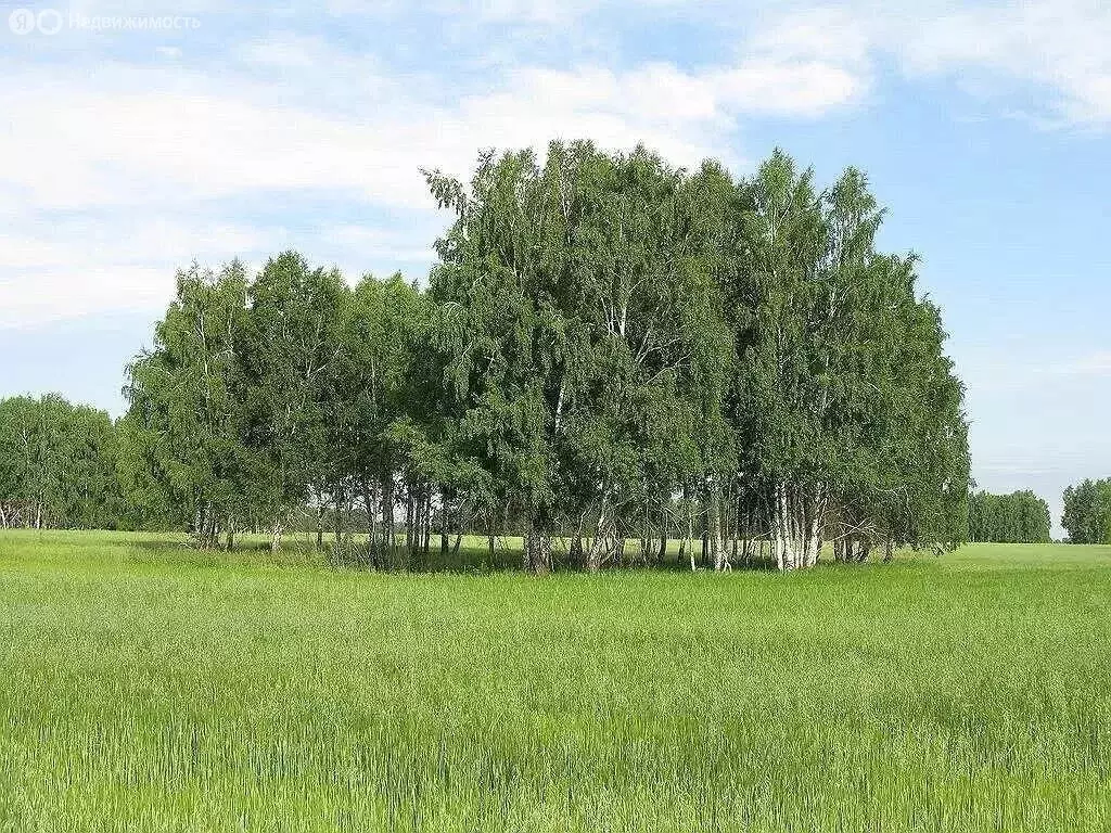 Участок в Тюменский район, село Кулига, улица Даниила Ташланова (575 ... - Фото 0