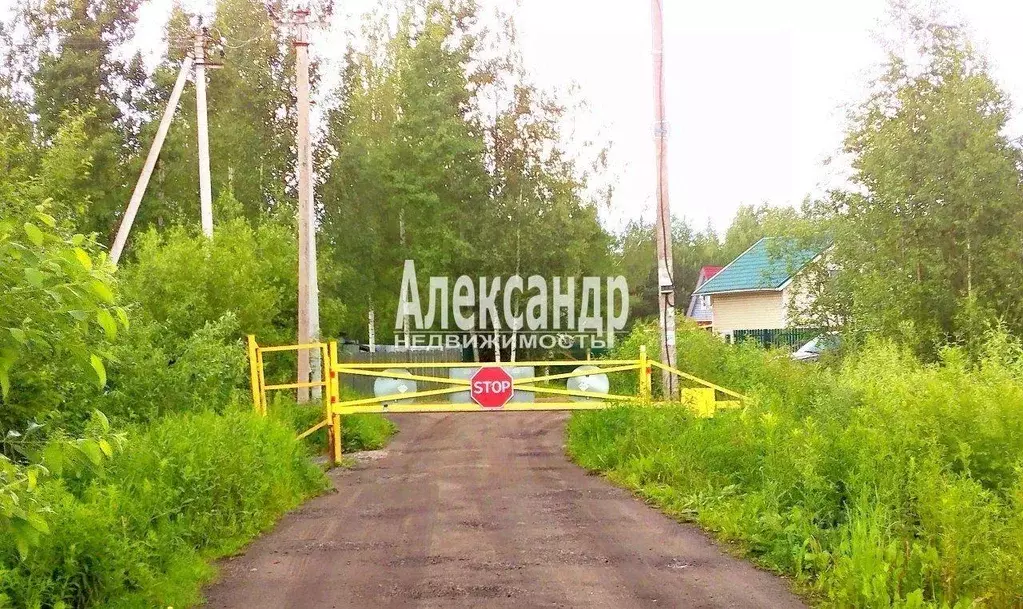 Участок, 10 сот., сельхоз (снт или днп) - Фото 0