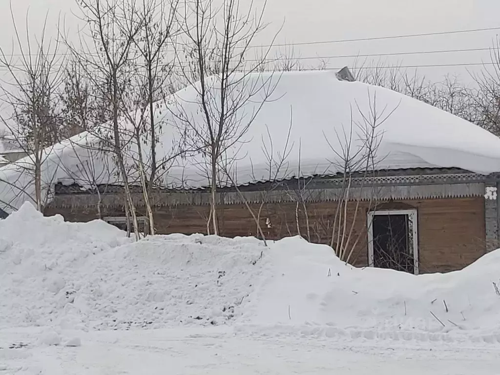 Дом в Новосибирская область, Новосибирский район, с. Барышево ул. ... - Фото 0