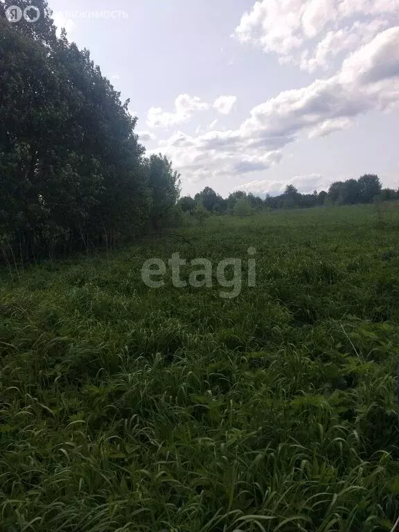 Участок в Талдомский городской округ, деревня Сущёво (20 м) - Фото 0