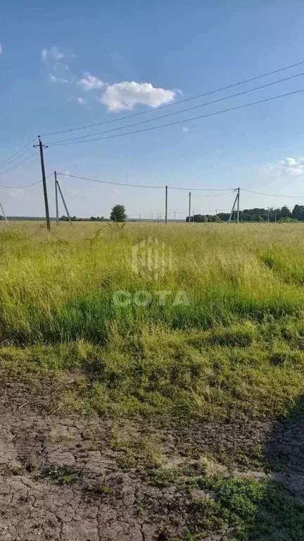 Участок в Воронежская область, Новоусманский район, Хреновское с/пос, ... - Фото 2