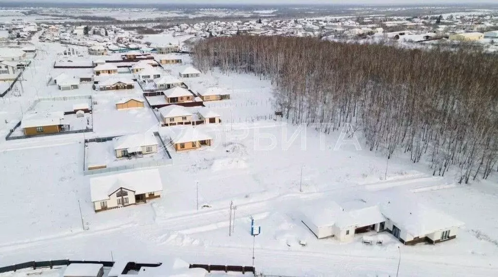 Участок в Тюменская область, Тюменский муниципальный округ, с. Луговое ... - Фото 1