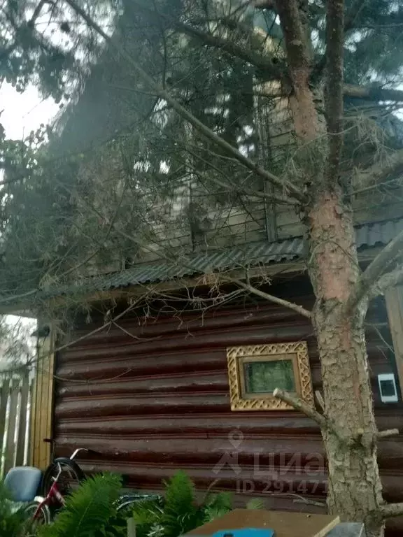 Дом в Тверская область, Осташков ул. Гагарина, 45 (48 м) - Фото 1