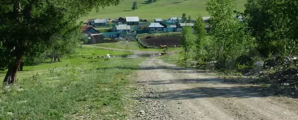 Участок 20 сот. (ИЖС) - Фото 0