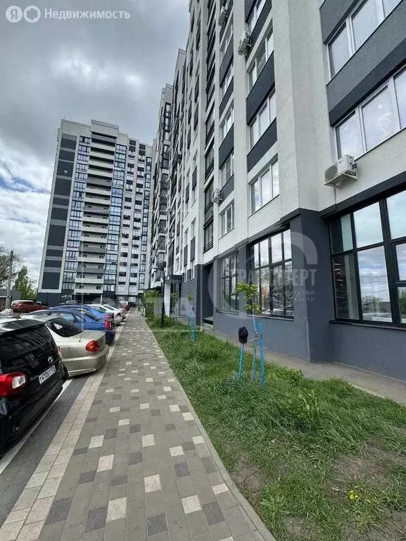 Помещение свободного назначения (45.85 м) - Фото 0