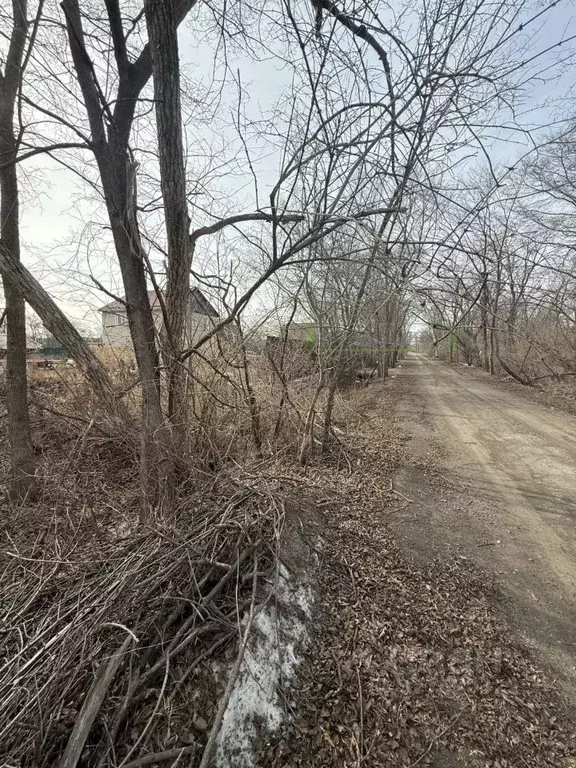 Участок в Приморский край, Артемовский городской округ, с. Кневичи ул. ... - Фото 2