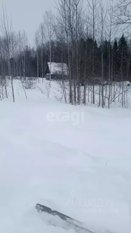 Участок в Московская область, Можайский городской округ, д. Мокрое 12 ... - Фото 1