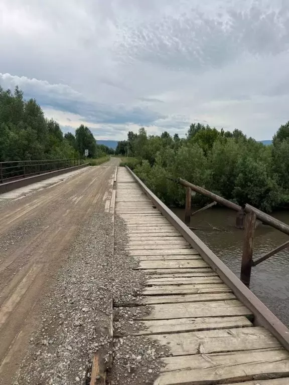 Участок в Алтайский край, Смоленский район, с. Сычевка Заречная ул. ... - Фото 2