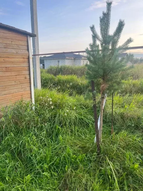 Участок в Новгородская область, Новгородский район, Трубичинское ... - Фото 1