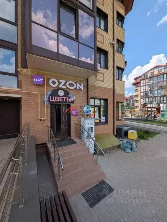 Торговая площадь в Московская область, Домодедово городской округ, д. ... - Фото 2