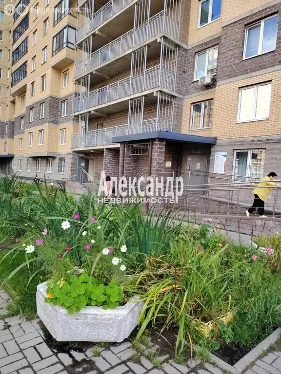 2-комнатная квартира: посёлок Парголово, улица Фёдора Абрамова, 20к1 ... - Фото 1
