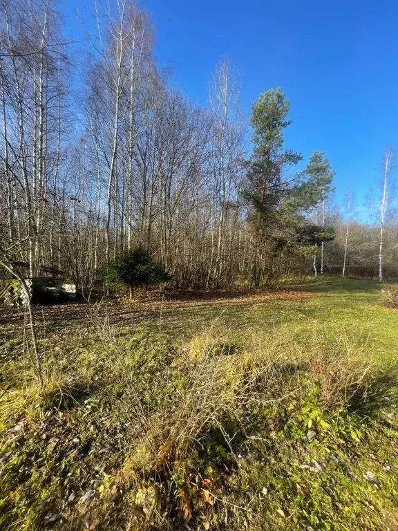 Участок в Владимирская область, Александровский муниципальный округ, ... - Фото 2