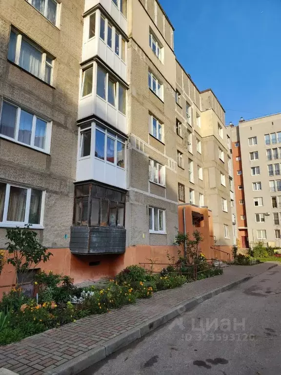 2-к кв. Калининградская область, Калининград Тихорецкая ул., 16 (49.5 ... - Фото 2