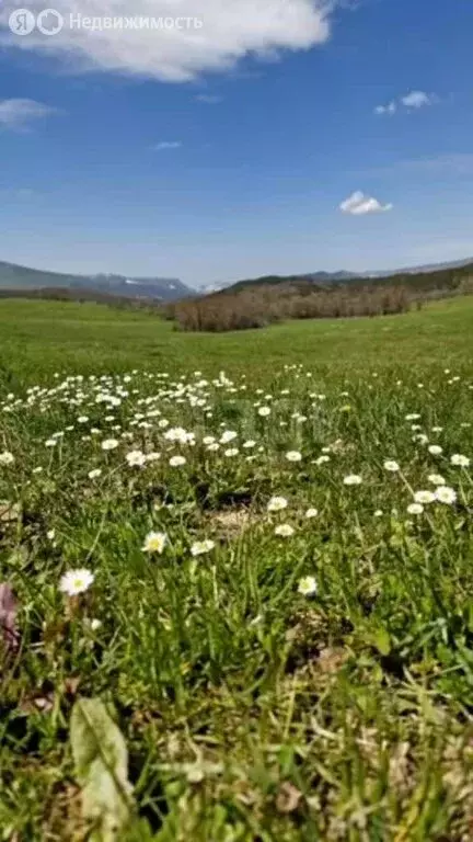Участок в Бахчисарайский район, Голубинское сельское поселение, село ... - Фото 2