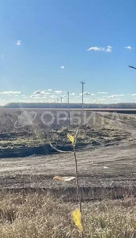 Участок в Тюменская область, Тюменский муниципальный округ, с. ... - Фото 0