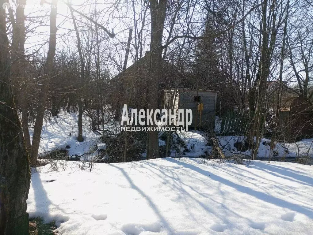 Участок в посёлок Александровская, Волхонское шоссе, 55 (16.67 м) - Фото 2