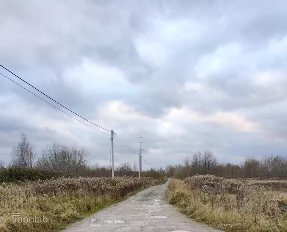 Участок в Калининградская область, Зеленоградский муниципальный округ, ... - Фото 2