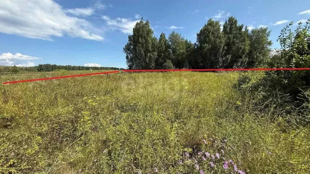 Участок в Башкортостан, Бирский район, Сусловский сельсовет, с. ... - Фото 1