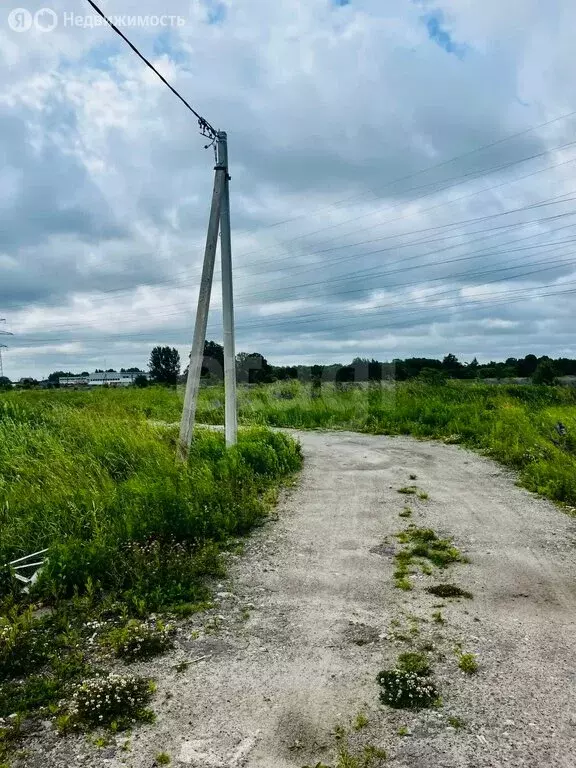 Участок в Луговое, станция Луговое Новое (6.01 м) - Фото 1