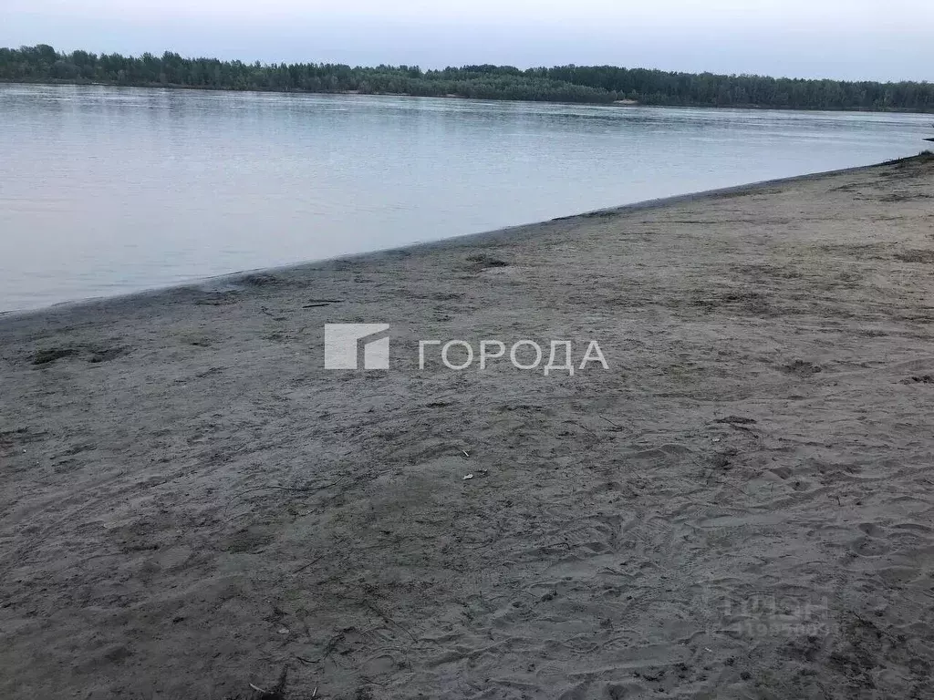 Участок в Новосибирская область, Колыванский район, Импульс СНТ 195 ... - Фото 0
