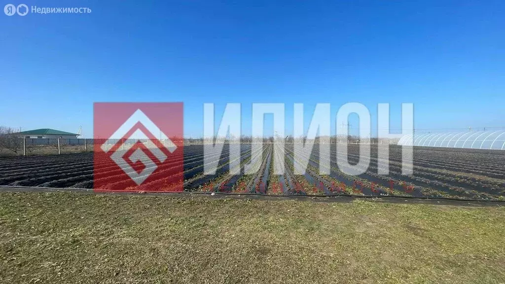 Участок в Журавское сельское поселение, село Тутовка, улица Бахт, 41 ... - Фото 1