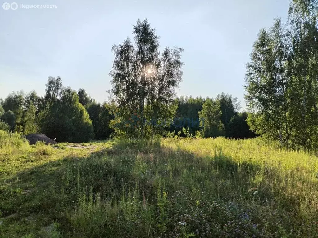 Участок в Кстово, Жемчужная улица, 9 (10 м) - Фото 2