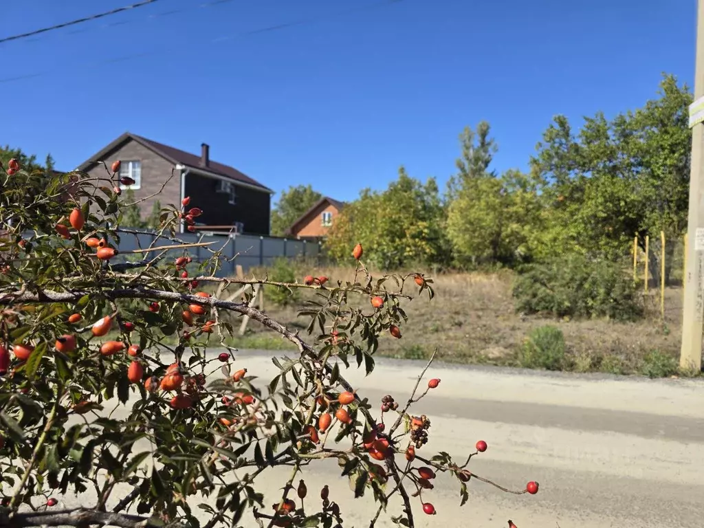 Участок в Ростовская область, Ростов-на-Дону 3-й Дамасский пер., 90 ... - Фото 1