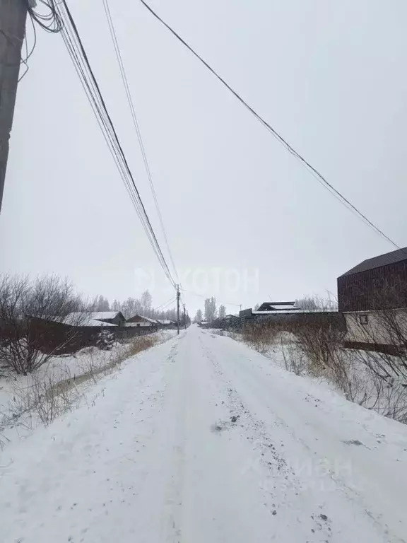 Участок в Ленинградская область, Гатчинский район, Дони ТСН 4-я линия ... - Фото 0