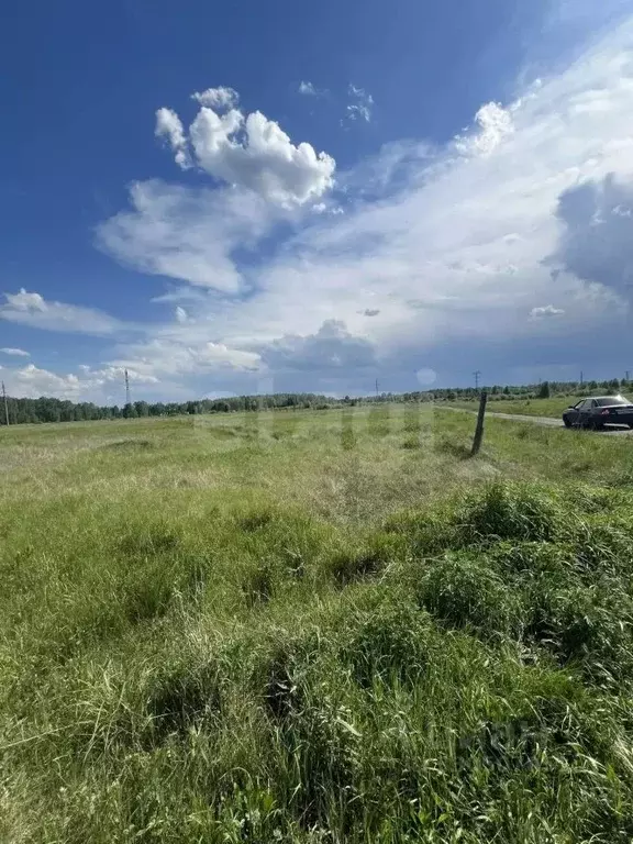 Участок в Курганская область, Кетовский муниципальный округ, д. ... - Фото 1