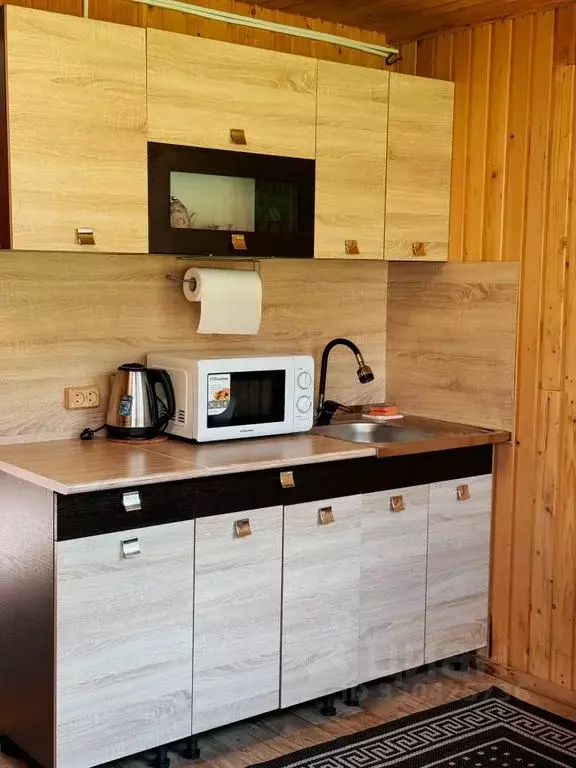 Дом в Алтай, Улаганский район Р-256 Чуйский тракт, 795-й км (46 м) - Фото 2